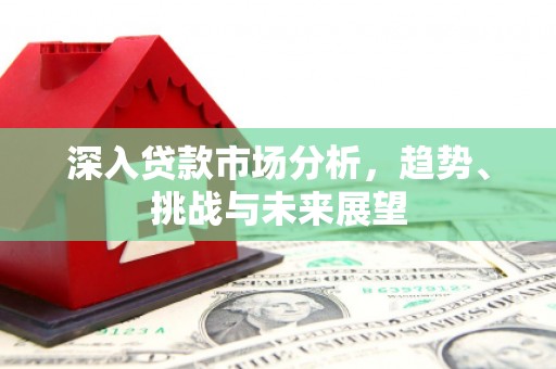 项城深入贷款市场分析，趋势、挑战与未来展望