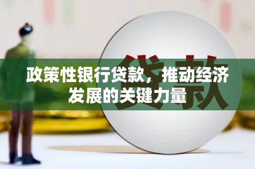 项城政策性银行贷款，推动经济发展的关键力量