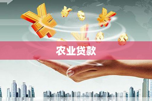 项城农业贷款
