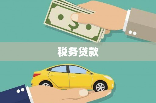 项城税务贷款