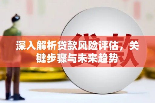 项城深入解析贷款风险评估，关键步骤与未来趋势