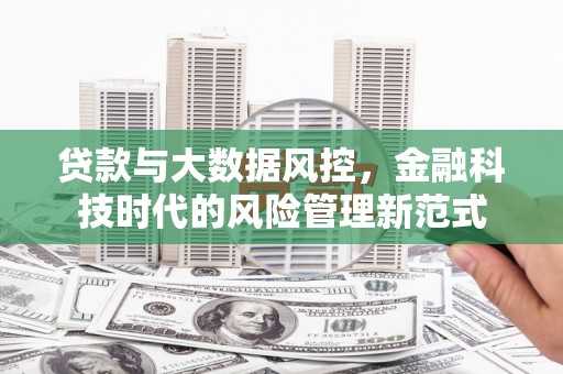 项城贷款与大数据风控，金融科技时代的风险管理新范式