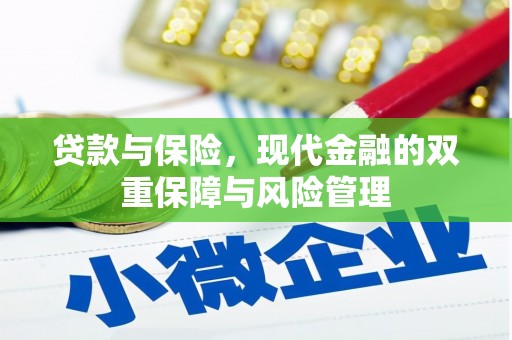 项城贷款与保险，现代金融的双重保障与风险管理