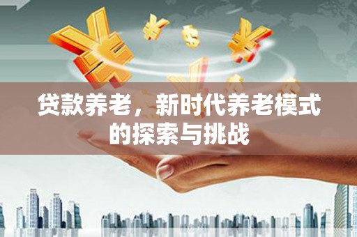 项城贷款养老，新时代养老模式的探索与挑战