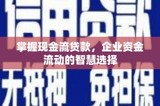 项城掌握现金流贷款，企业资金流动的智慧选择