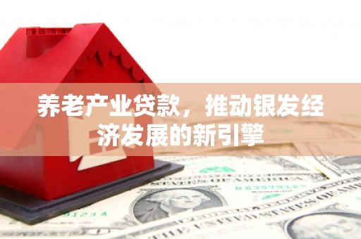 项城养老产业贷款，推动银发经济发展的新引擎