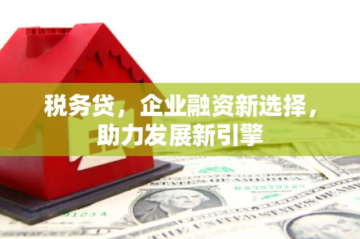 项城税务贷，企业融资新选择，助力发展新引擎