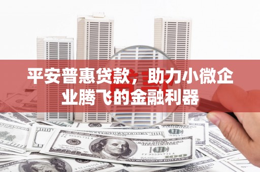 项城平安普惠贷款，助力小微企业腾飞的金融利器