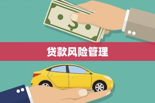 项城贷款风险管理