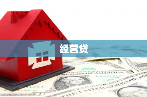 项城经营贷