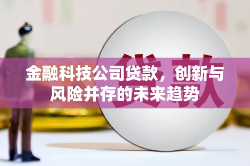项城金融科技公司贷款，创新与风险并存的未来趋势