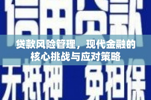 项城贷款风险管理，现代金融的核心挑战与应对策略