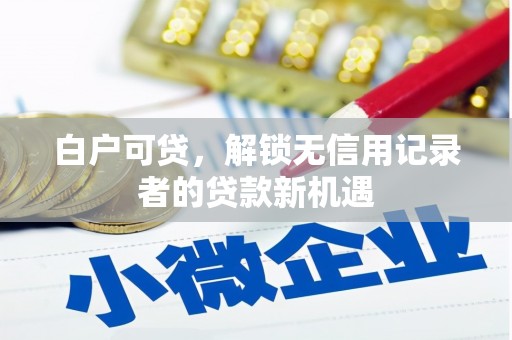 项城白户可贷，解锁无信用记录者的贷款新机遇