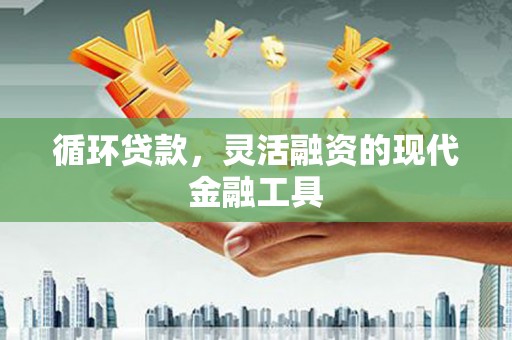 项城循环贷款，灵活融资的现代金融工具