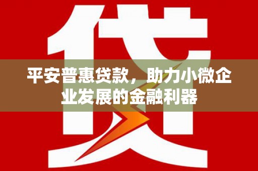 项城平安普惠贷款，助力小微企业发展的金融利器