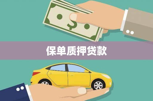 项城保单质押贷款
