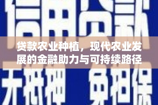 项城贷款农业种植，现代农业发展的金融助力与可持续路径