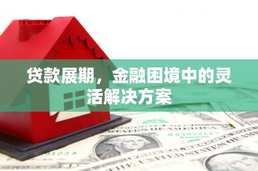 项城贷款展期，金融困境中的灵活解决方案