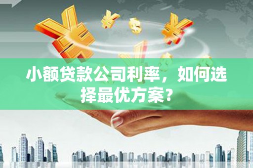 项城小额贷款公司利率，如何选择最优方案？
