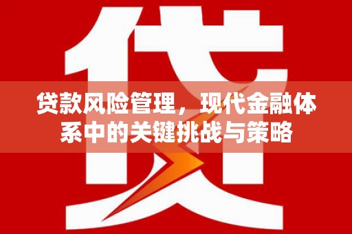 项城贷款风险管理，现代金融体系中的关键挑战与策略
