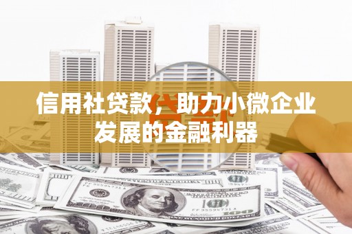 项城信用社贷款，助力小微企业发展的金融利器