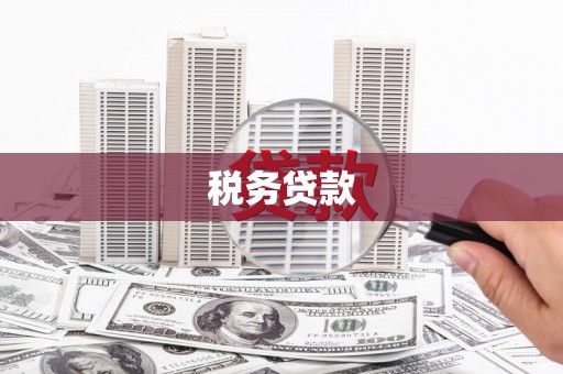 项城税务贷款