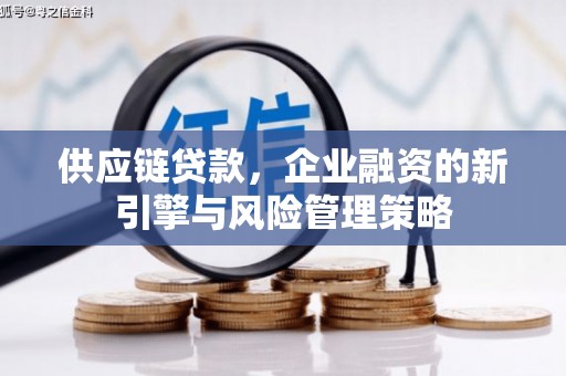 项城供应链贷款，企业融资的新引擎与风险管理策略