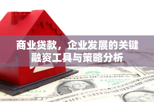 项城商业贷款，企业发展的关键融资工具与策略分析