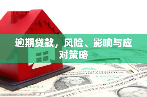 项城逾期贷款，风险、影响与应对策略
