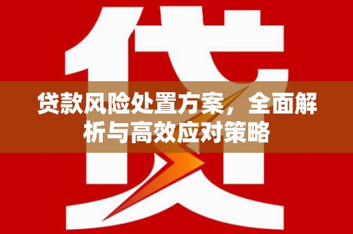 项城贷款风险处置方案，全面解析与高效应对策略