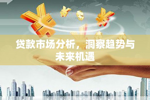 项城贷款市场分析，洞察趋势与未来机遇