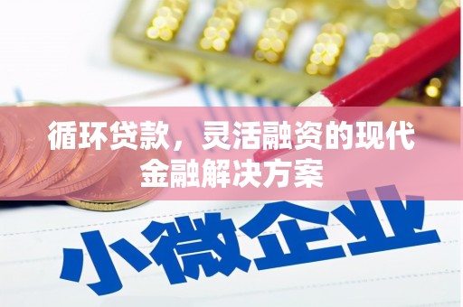 项城循环贷款，灵活融资的现代金融解决方案