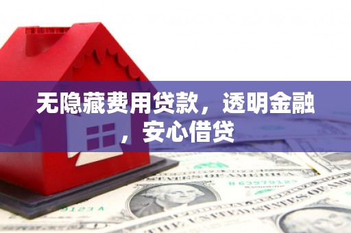 项城无隐藏费用贷款，透明金融，安心借贷