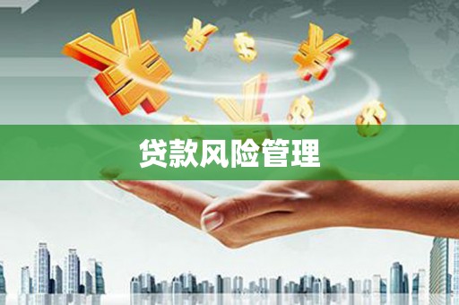 项城贷款风险管理