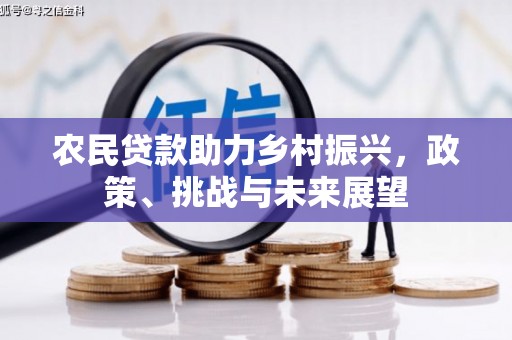 项城农民贷款助力乡村振兴，政策、挑战与未来展望