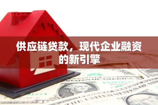 项城供应链贷款，现代企业融资的新引擎