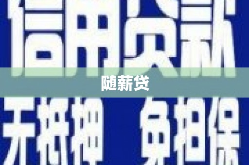 项城随薪贷