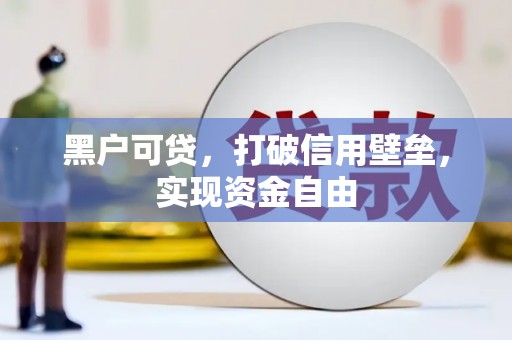 项城黑户可贷，打破信用壁垒，实现资金自由