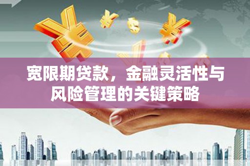 项城宽限期贷款，金融灵活性与风险管理的关键策略