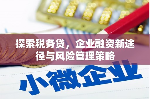 项城探索税务贷，企业融资新途径与风险管理策略