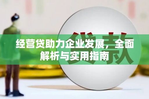项城经营贷助力企业发展，全面解析与实用指南