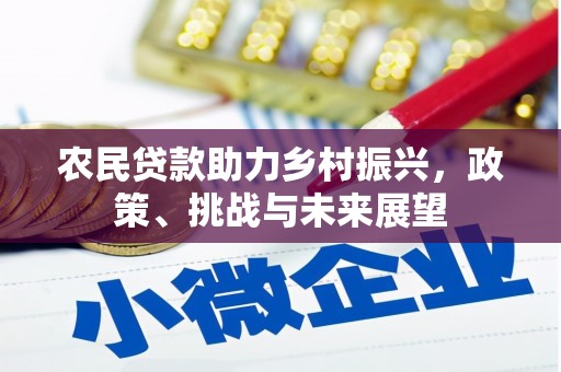 项城农民贷款助力乡村振兴，政策、挑战与未来展望