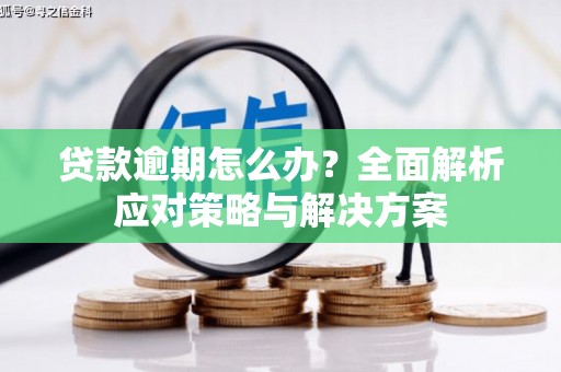 项城贷款逾期怎么办？全面解析应对策略与解决方案