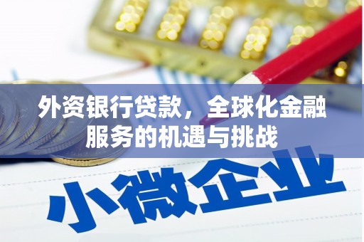 项城外资银行贷款，全球化金融服务的机遇与挑战