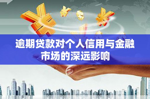 项城逾期贷款对个人信用与金融市场的深远影响