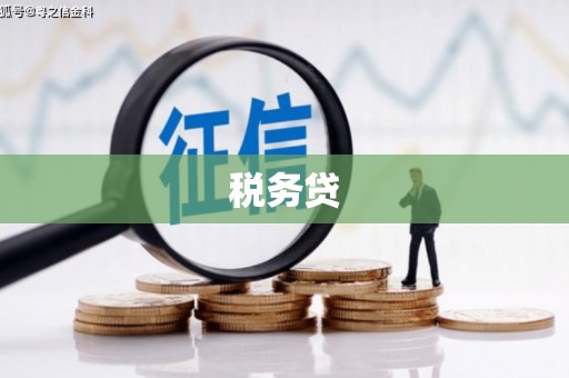 项城税务贷