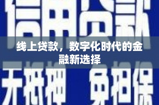 项城线上贷款，数字化时代的金融新选择