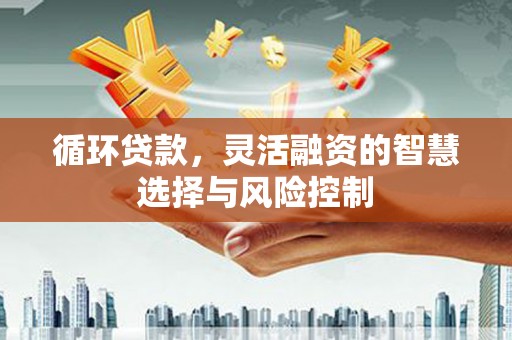 项城循环贷款，灵活融资的智慧选择与风险控制