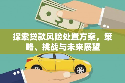 项城探索贷款风险处置方案，策略、挑战与未来展望