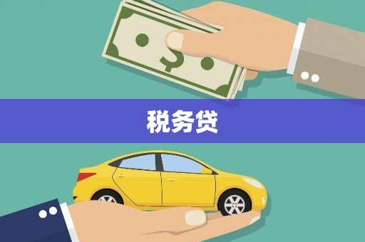 项城税务贷